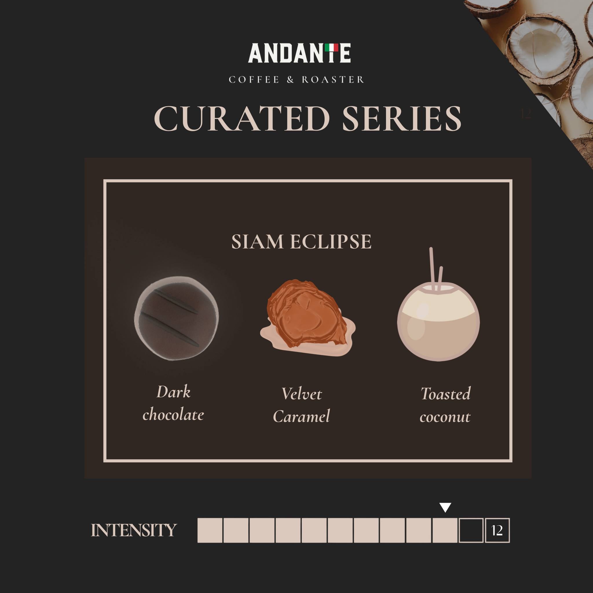 เมล็ดกาแฟ Siam Eclipse เบลนด์จาก Curated Series คั่วเข้ม แบบถุงเติม
