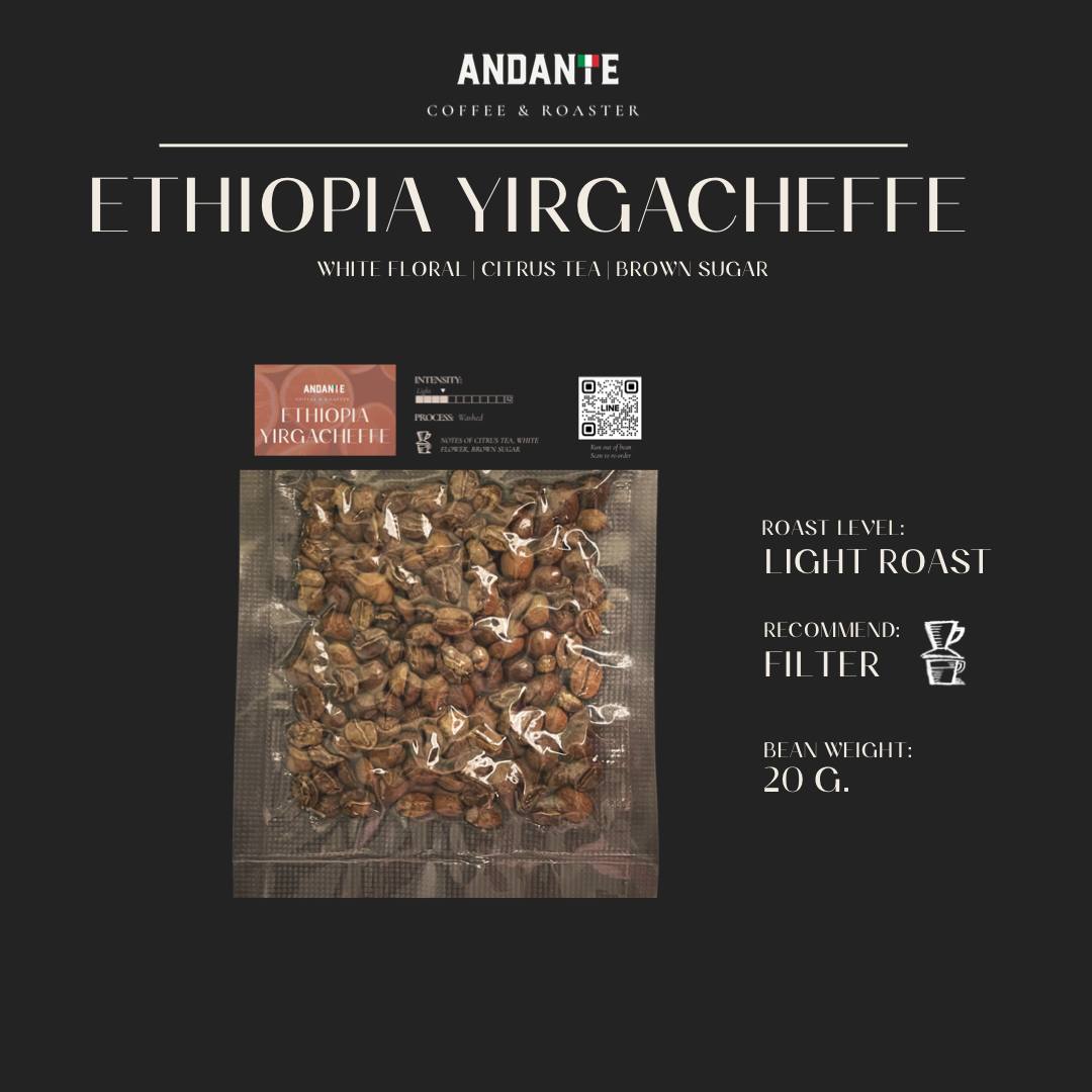 Sample roasted coffee bean 20 g.