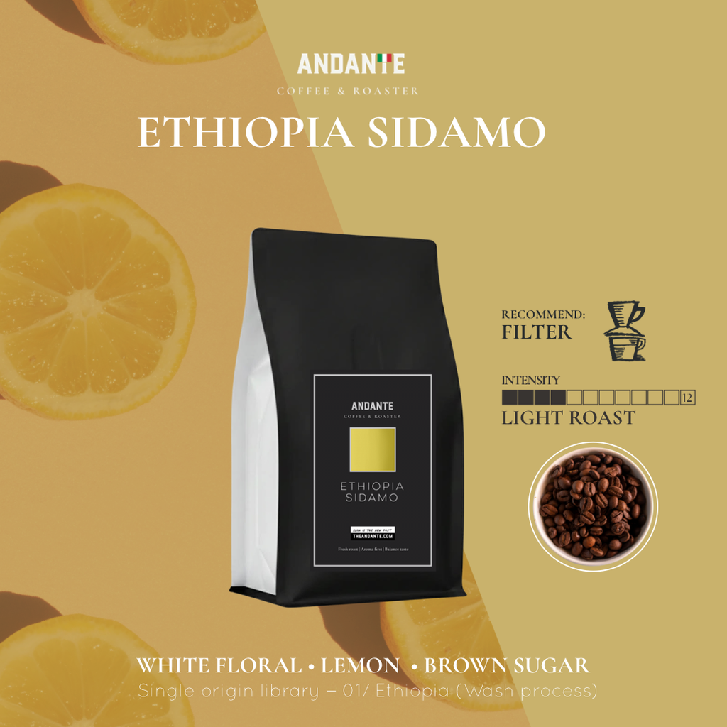 Ethiopia Sidamo Single Origin Light Roast