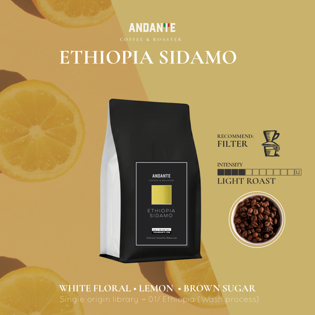Ethiopia Sidamo Single Origin Light Roast