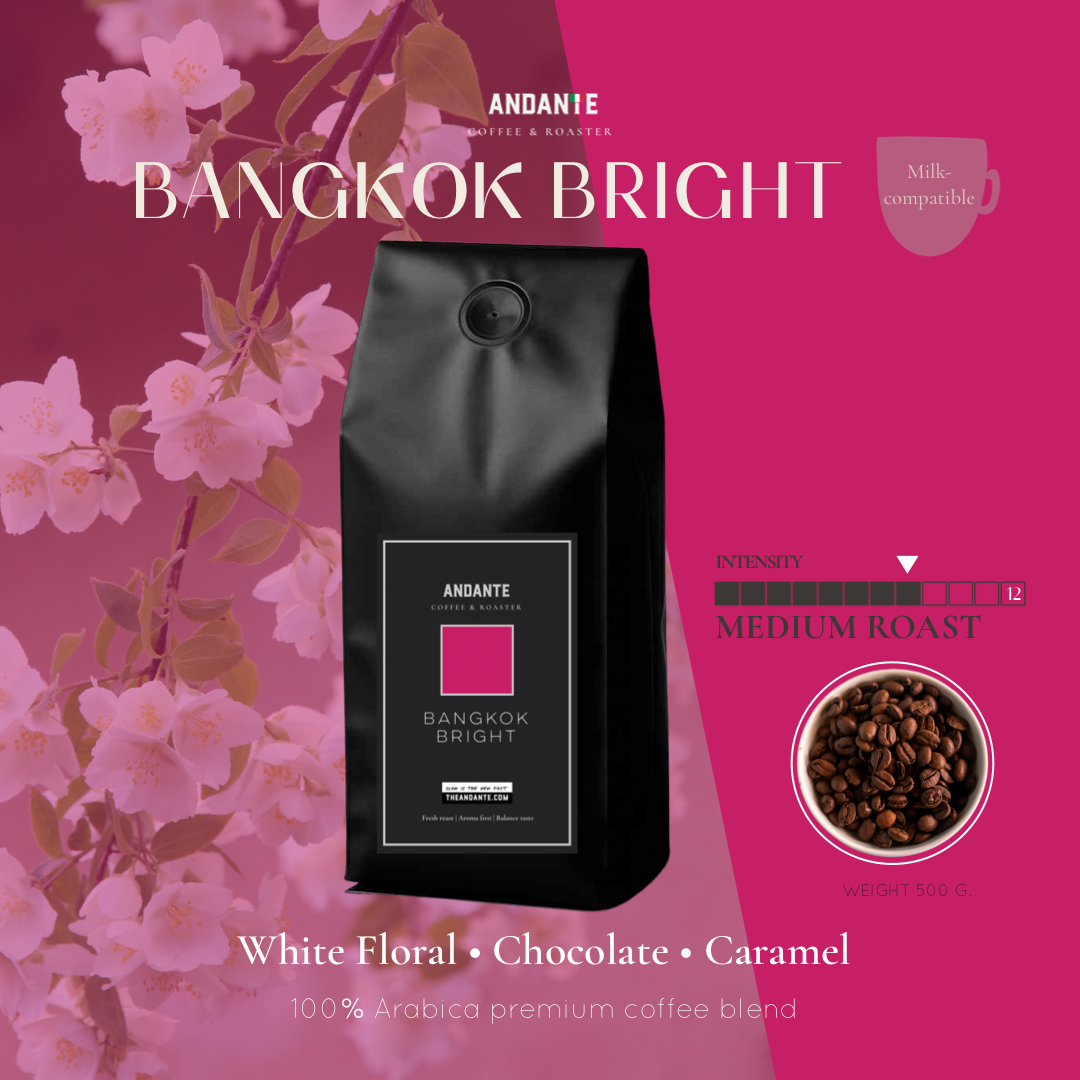 Bangkok Bright Curated Series Medium Roast