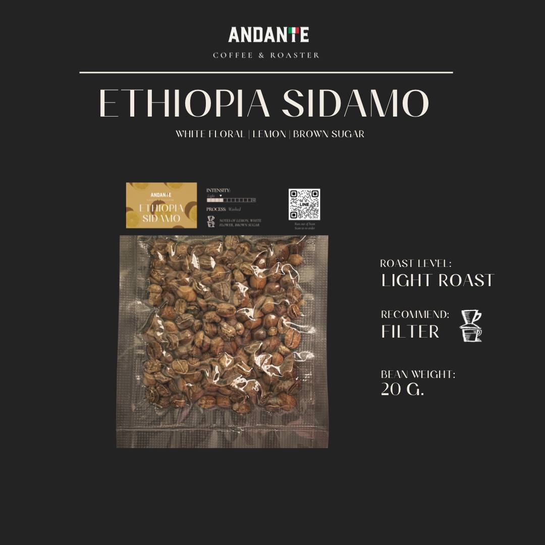 Sample roasted coffee bean 20 g.