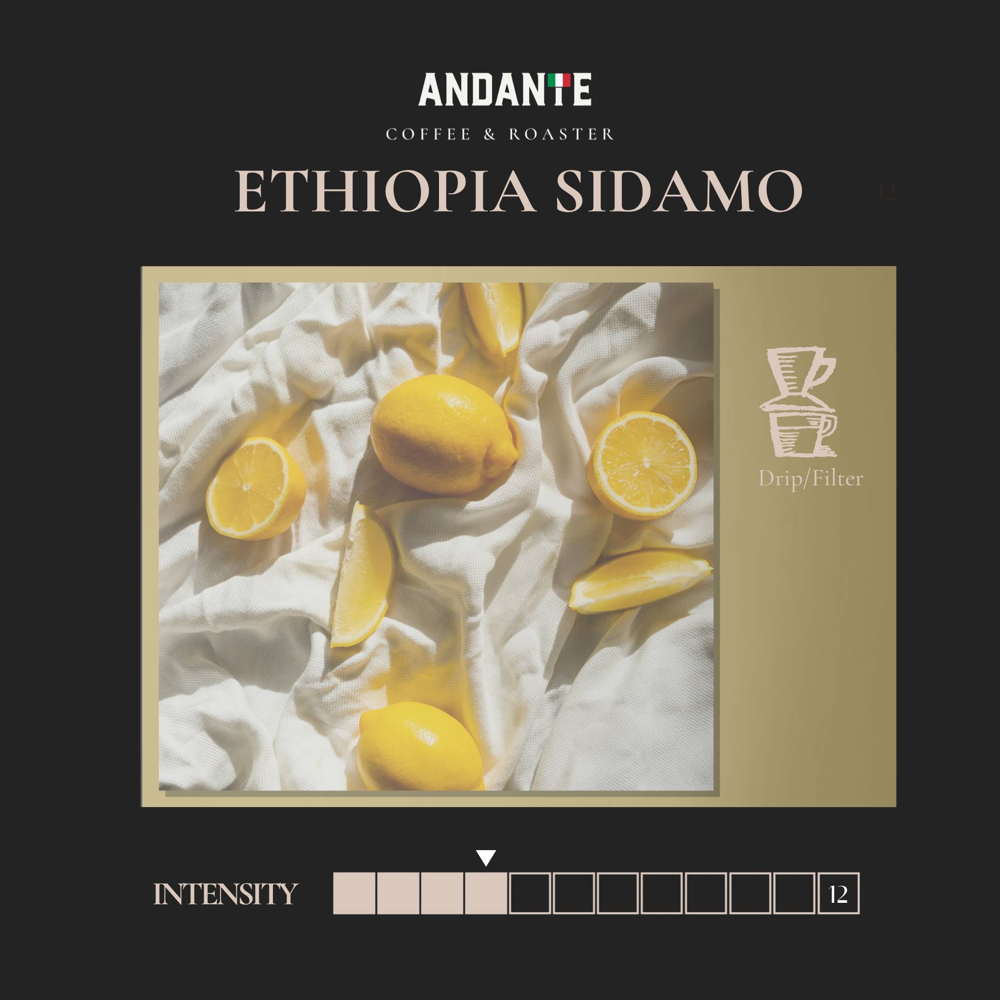 Ethiopia Sidamo Single Origin Light Roast Refill bag
