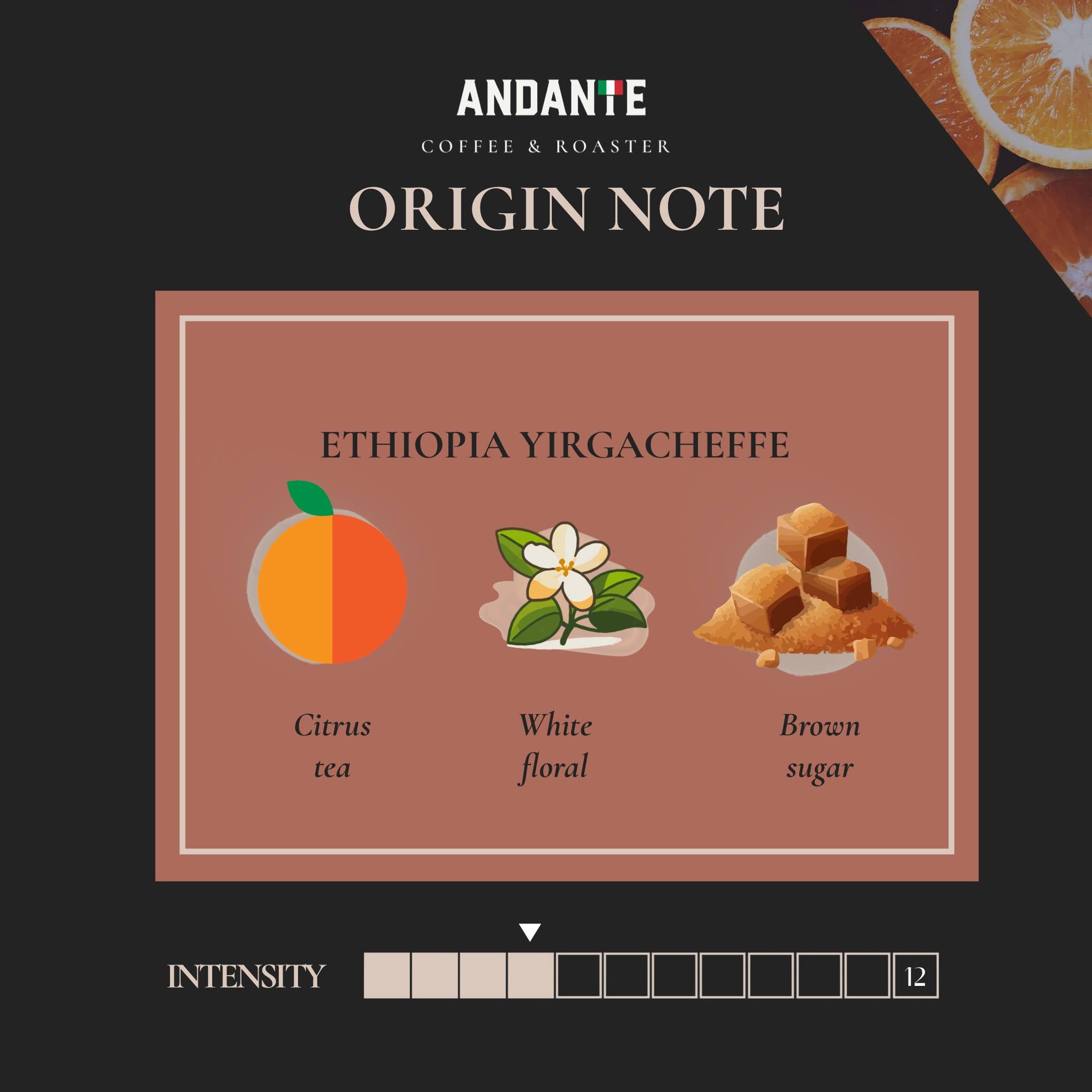 Ethiopia Yirgacheffe Single Origin Light Roast Refill bag