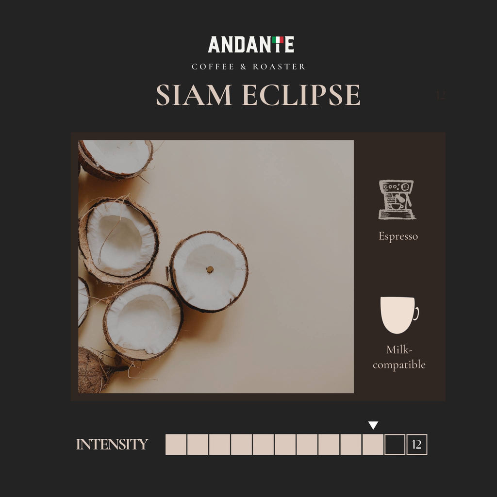 เมล็ดกาแฟ Siam Eclipse เบลนด์จาก Curated Series คั่วเข้ม แบบถุงเติม
