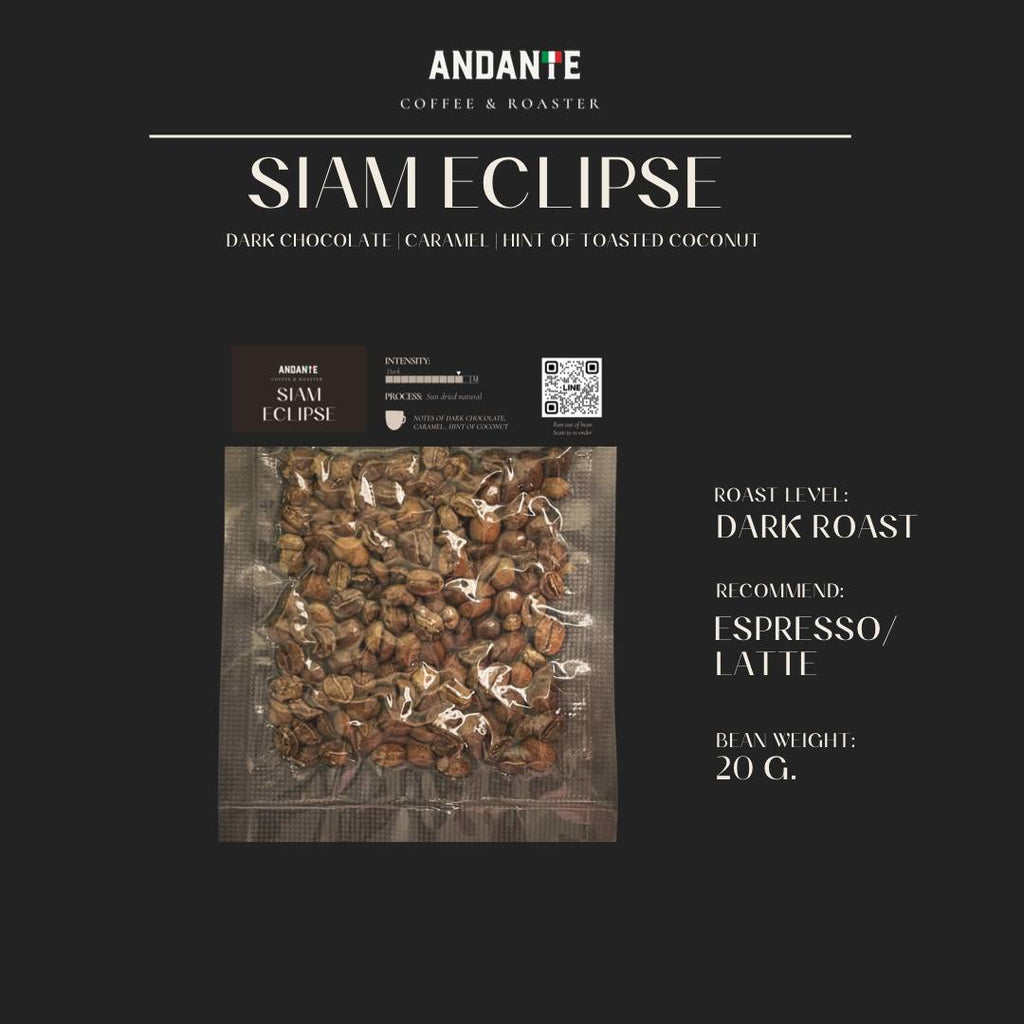 Sample roasted coffee bean 20 g.