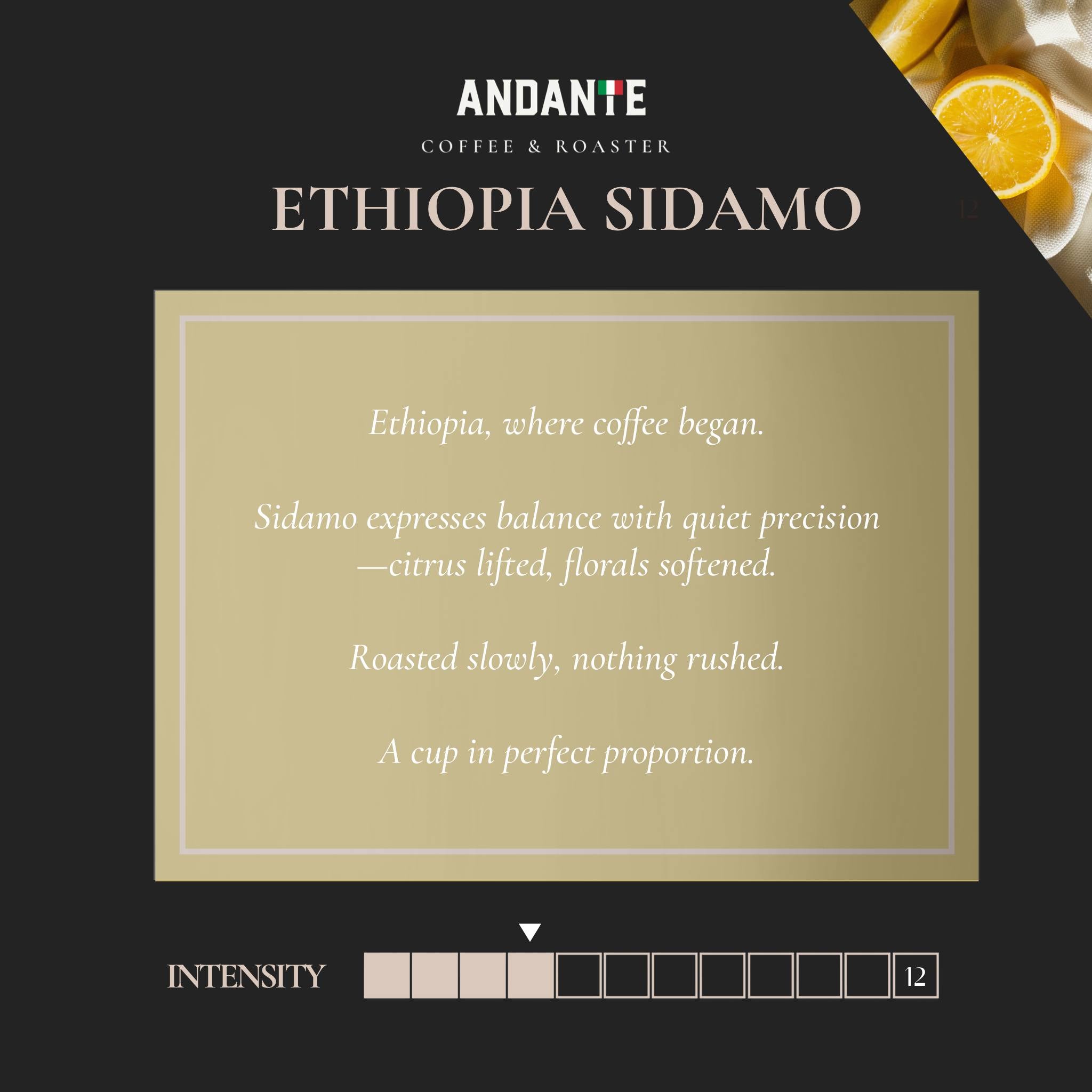 Ethiopia Sidamo Single Origin Light Roast Refill bag