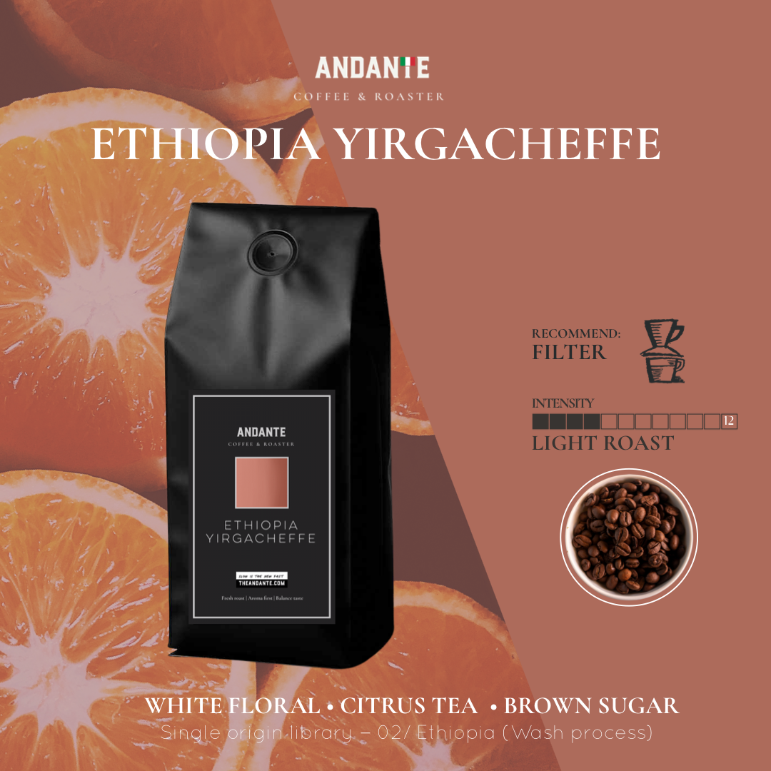 Ethiopia Yirgacheffe Single Origin Light Roast