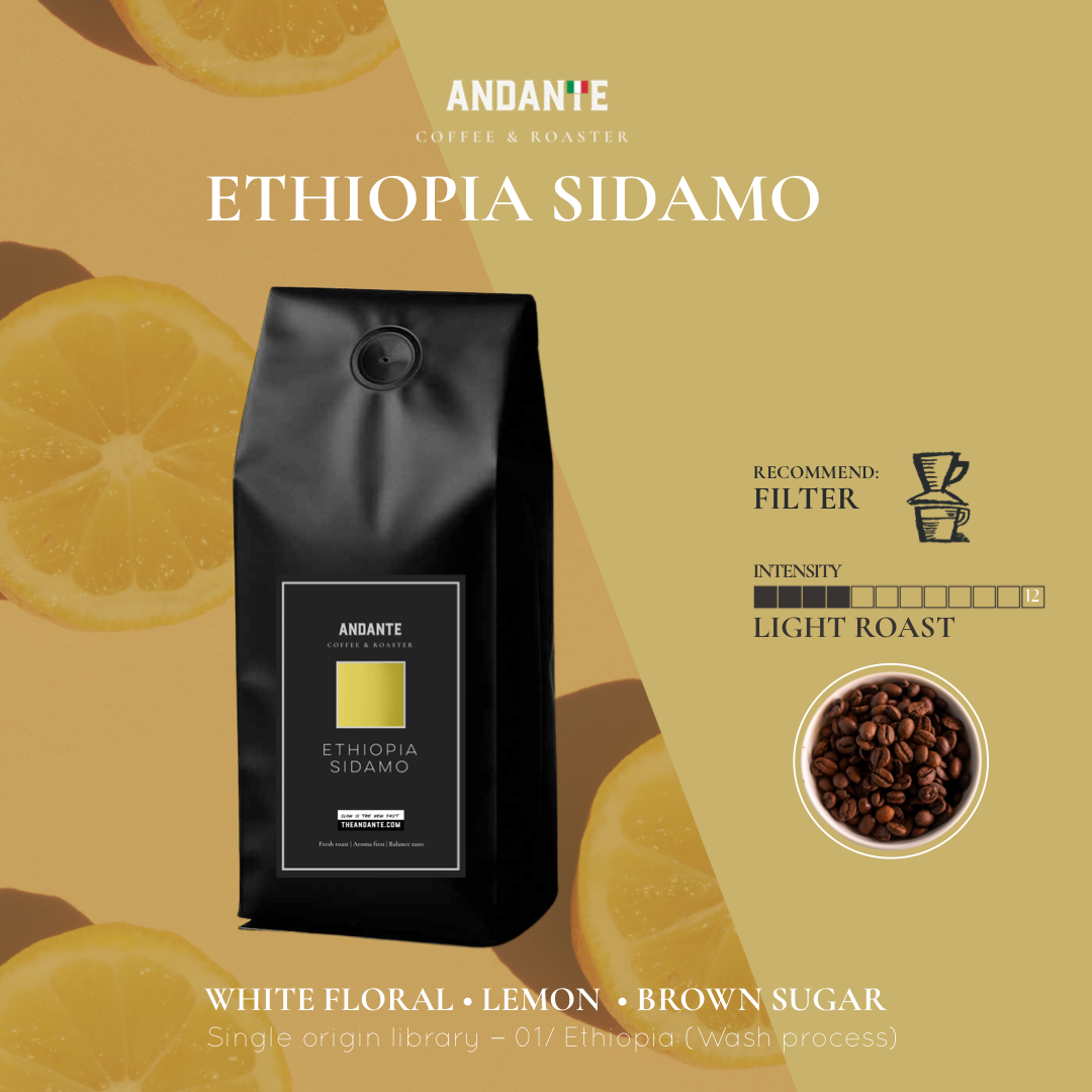Ethiopia Sidamo Single Origin Light Roast